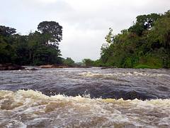 Ferulassi Rapids