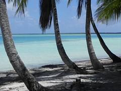 mataiva 0910  (13)