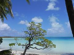 mataiva 0910  (19)