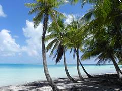 mataiva 0910  (41)