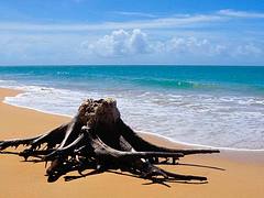 Plage de Deshaies