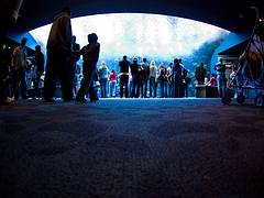 Coral Reef - Georgia Aquarium