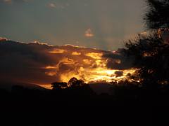Sunset at Moruya