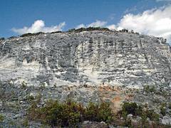 Calcarenitic eolianites over calcrete paleosol over calcarenitic eolianites (Grotto Beach Formation over Owl's Hole Formation, Pleistocene; Watling's Quarry, San Salvador Island, Bahamas) 1