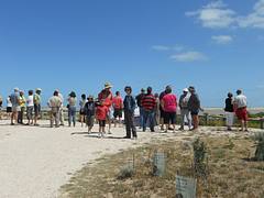 Viewing the Murray Mouth