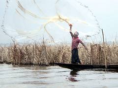 Fisherman Tosses his Net