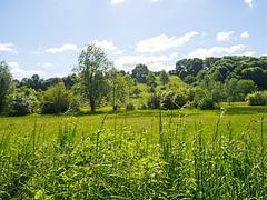A nice sunny day in Spring. A nice sunny day in Spring.