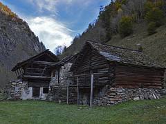 Torba di  Camblee (anno 1401), Lavizzara TI