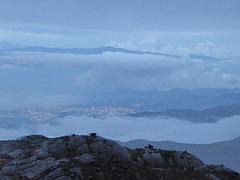 Manizales