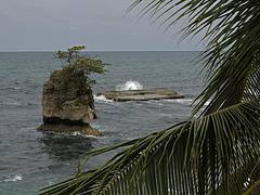 Manzanillo