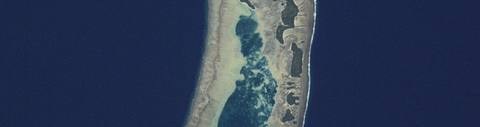 Туалу