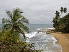 Manzanillo