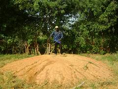Nurseryman entrepreneur