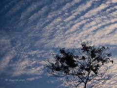 Nagpur's Evening Sky