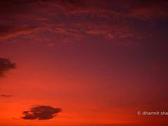 Orange Sky in Orange City - Nagpur, India