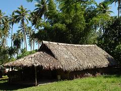 4. Vanuatu: Paradise under threat