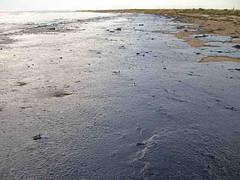 Oil Covering a Beach - Black Sea Oil Spill 11/12/07