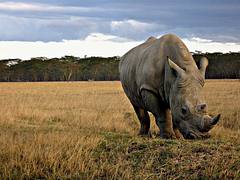 200812_kenya-127