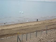 IMG_3275
