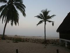 Morondava