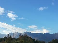 Peja