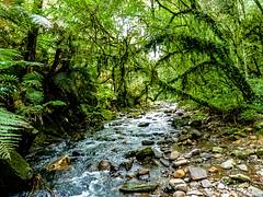 South Brazil - In Explore 06-23-2015