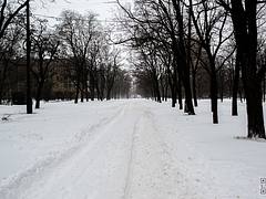 White Apatov