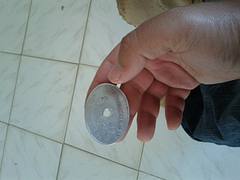 IMG_20111210_093432