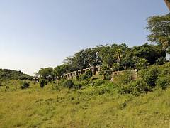 Mara Serena Lodge 1 Mara Serena Lodge 1