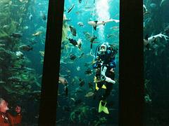The Monterey Bay Aquarium, California The Monterey Bay Aquarium, California