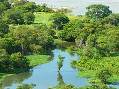 Pequeño Caño, Rio Orinoco, Amazonas Venezuela Pequeño Caño, Rio Orinoco, Amazonas Venezuela