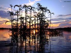 Reserva Faunística de Cuyabeno (Amazonia ecuatoriana)