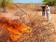 CJTF-HOA members volunteer time, effort to African wildlife