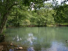 Old watermill in Denmark 2009 06-06b