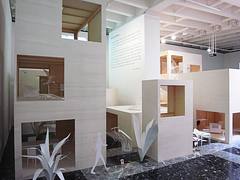 2010 Venice Architecture Biennale - Japan Pavilion 02 - Moriyama House by Ryue Nishizawa.jpg