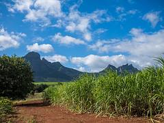 Mauritius Nature