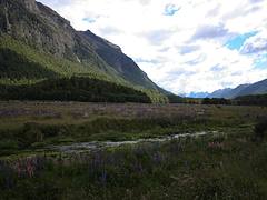 New Zealand