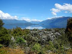 New Zealand