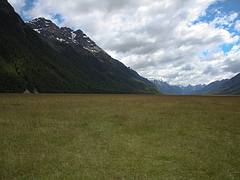 New Zealand