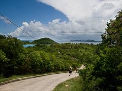 Walking Down the Hill to Saltwhistle Bay