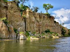 Nile River Banks, Uganda
