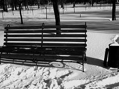 in park | winter 2009