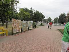 IMG_0919