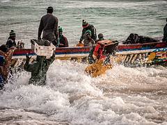 Fishermen at work - Mauritania