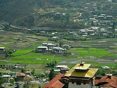 Bhutan-Paro plain covered with green fields