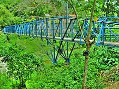 Puente sobre rio San Esteban