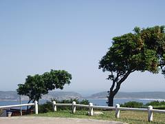 Plettenberg Bay