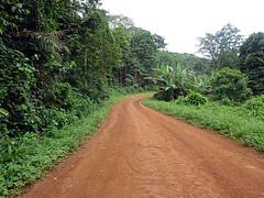 Dirt Road on Principe