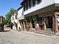 Bulgaria-0745 - Store!