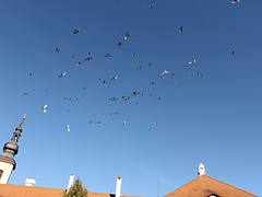 Prendre l'air, Pardubice Prendre l'air, Pardubice